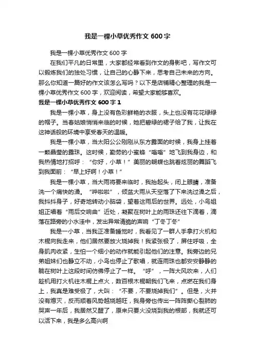 我是一棵小草优秀作文600字