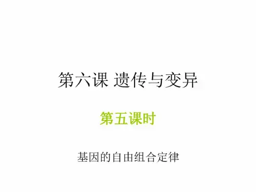 高二生物基因的自由组合定律(1)