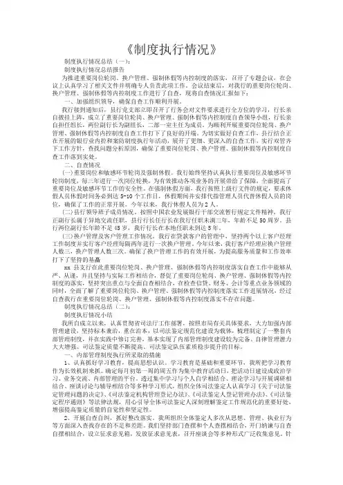 制度执行情况10篇
