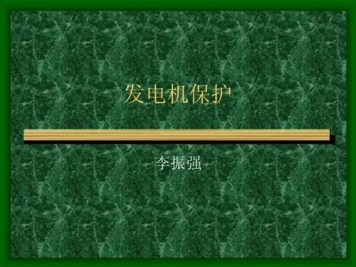 发电机保护