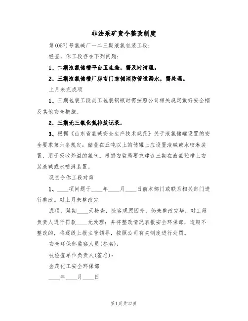 非法采矿责令整改制度（6篇）