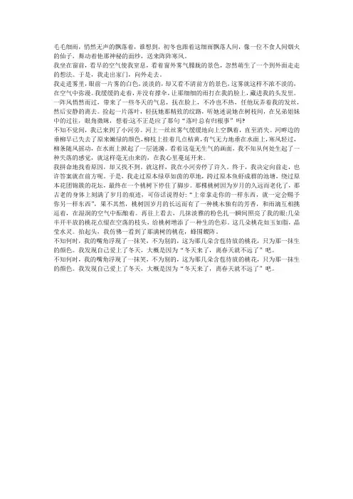 运用多种感官描写冬景的作文