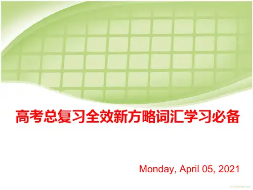高考总复习全效新方略词汇学习必备PPT课件