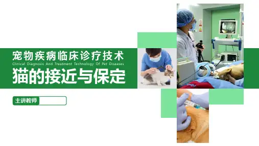【宠物疾病诊疗技术课件】猫的接近与保定