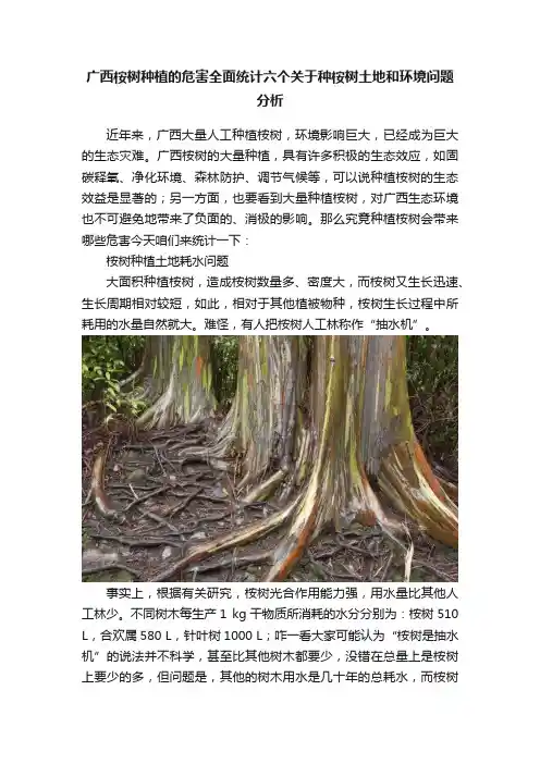 广西桉树种植的危害全面统计六个关于种桉树土地和环境问题分析