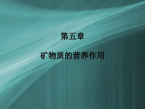 动物营养与饲料：矿物质的营养作用