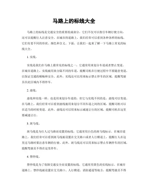 马路上的标线大全