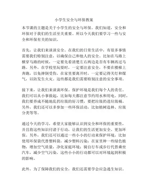 小学生安全与环保教案
