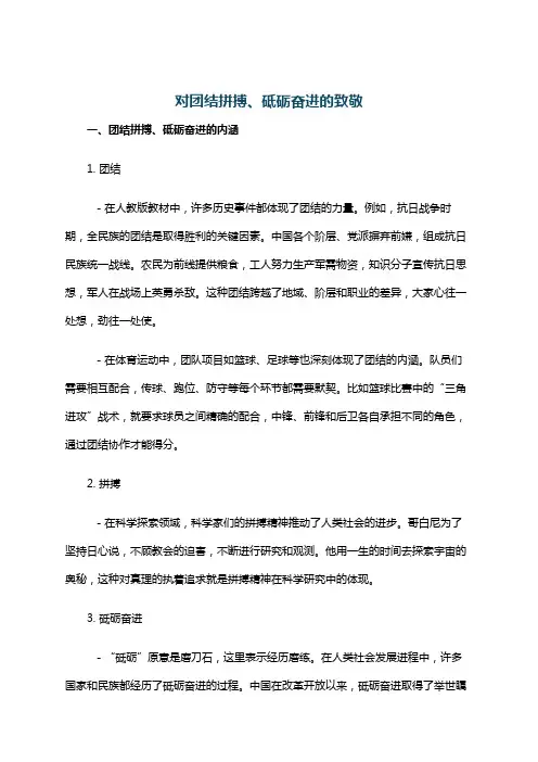 对团结拼搏、砥砺奋进的致敬