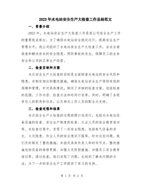 2023年水电站安全生产大检查工作总结范文