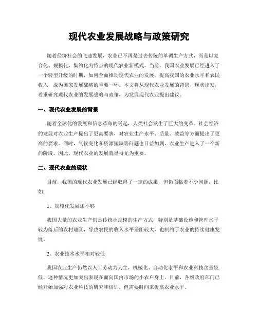 现代农业发展战略与政策研究
