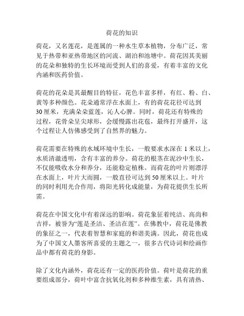 荷花的知识