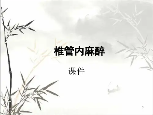 椎管内麻醉课件ppt课件
