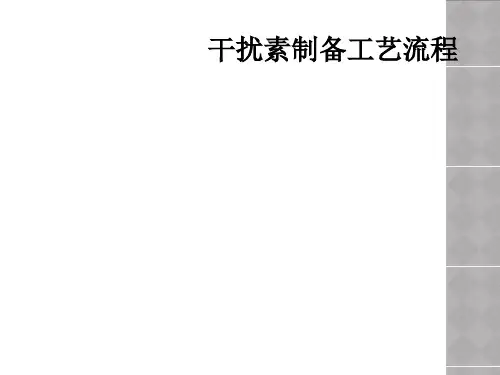 干扰素制备工艺流程