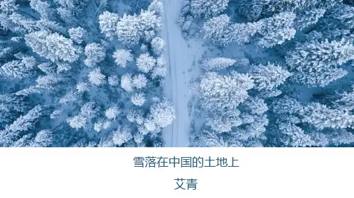 课件6：雪落在中国的土地上