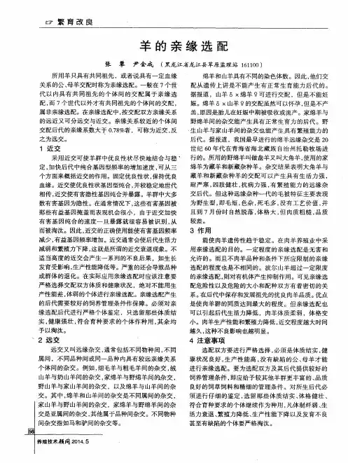 羊的亲缘选配