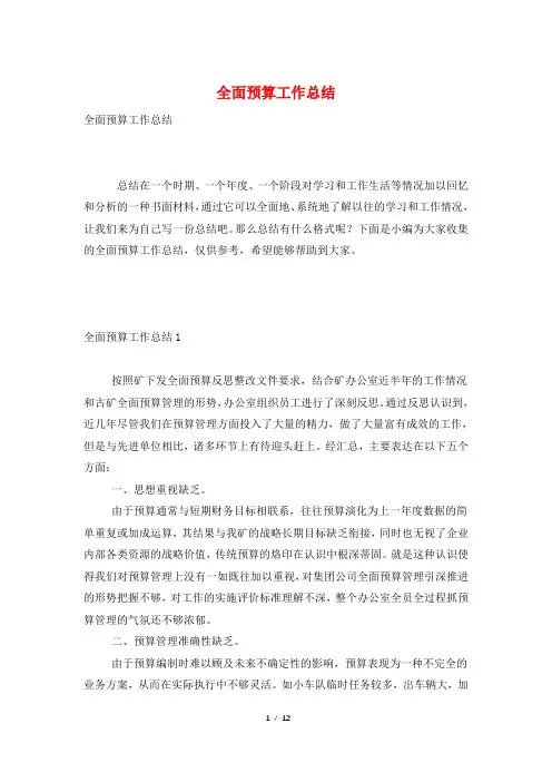 全面预算工作总结