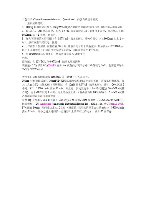 蛋白质提取详细步骤