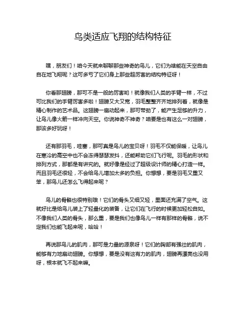 鸟类适应飞翔的结构特征