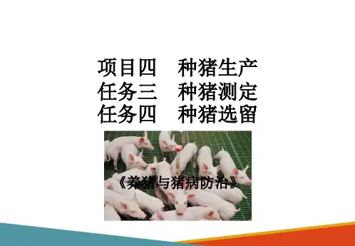 种猪生产—种猪测定