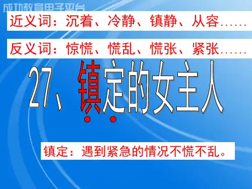 27镇定的女主人