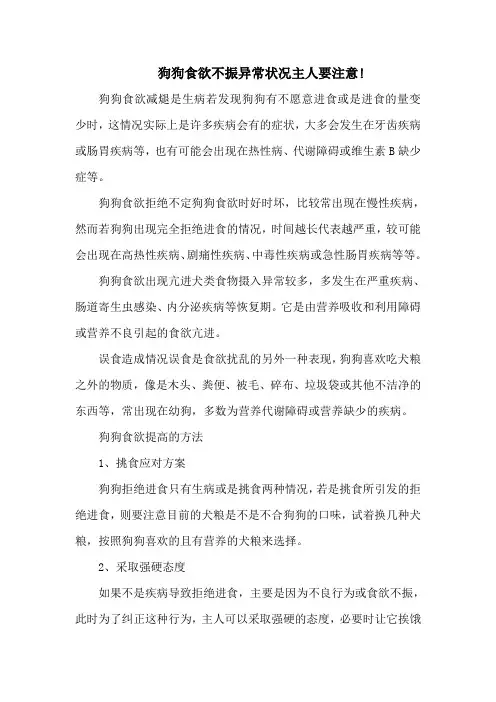 狗狗食欲不振异常状况主人要注意!