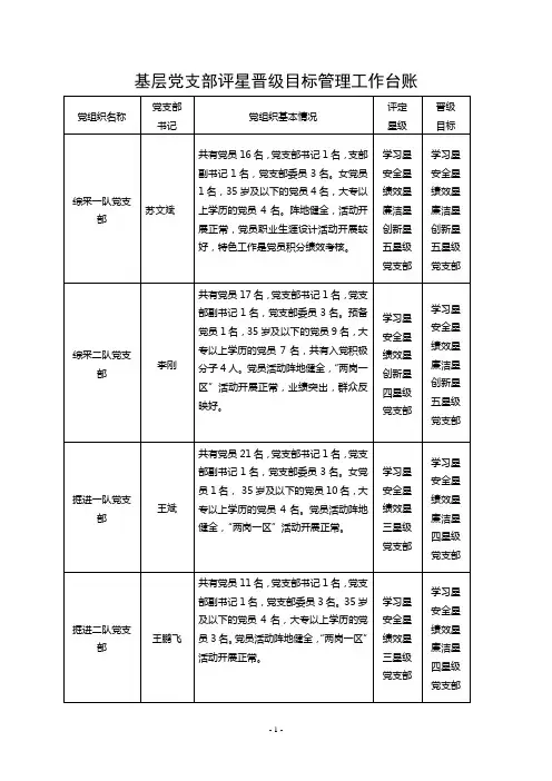 基层党支部评星晋级升级目标管理工作台账