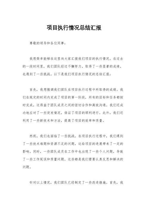 项目执行情况总结汇报