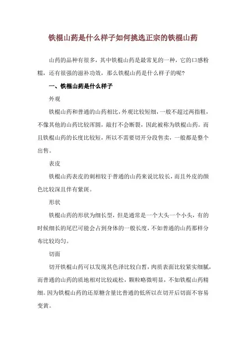 铁棍山药是什么样子 如何挑选正宗的铁棍山药