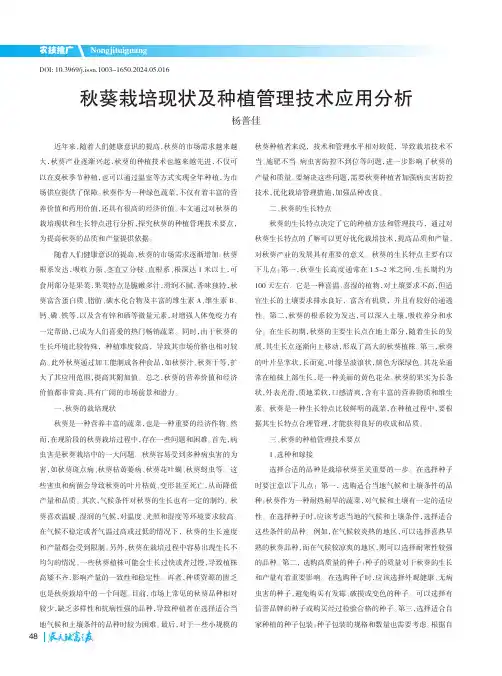 秋葵栽培现状及种植管理技术应用分析