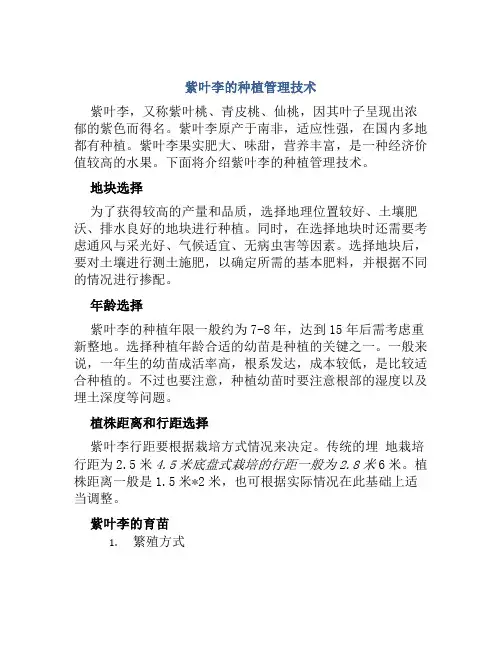 紫叶李的种植管理技术
