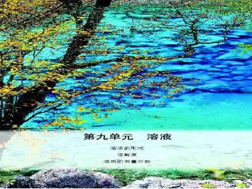 课题1 溶液的形成(2012 秋季新人教版)