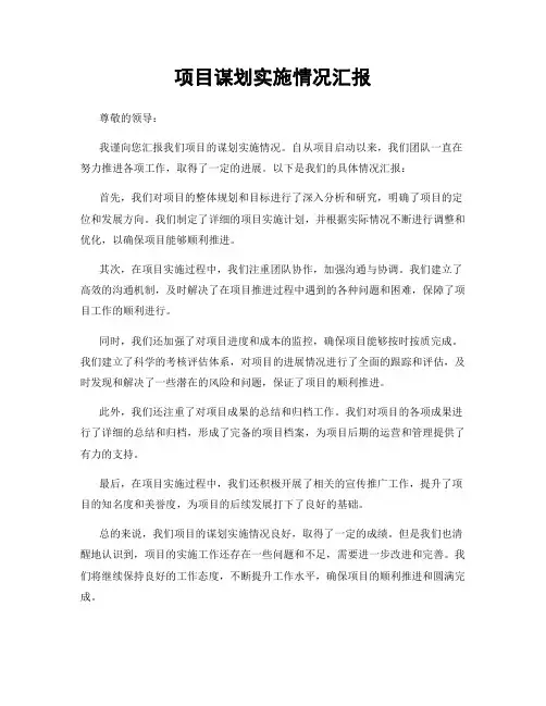 项目谋划实施情况汇报