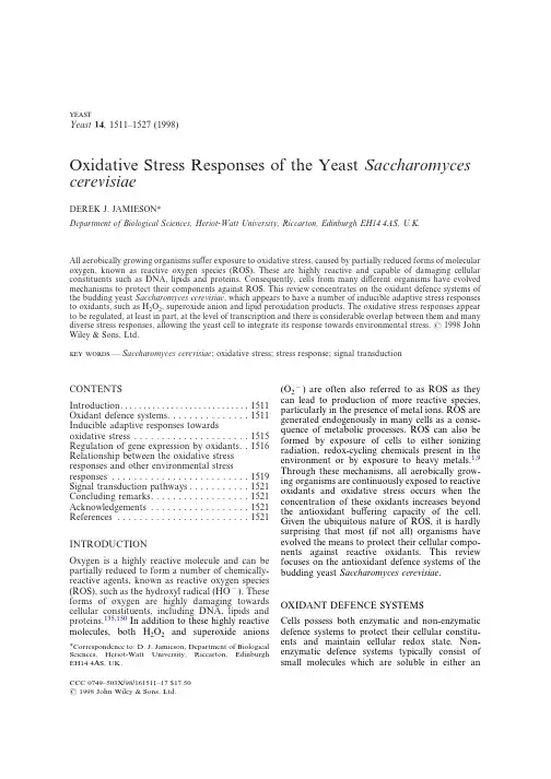 Oxidative Stress Responses of the Yeast Saccharomyces