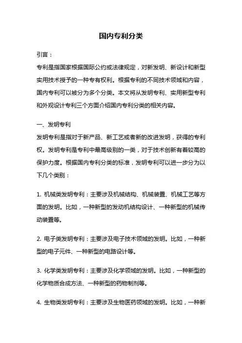 国内专利分类