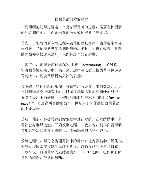 白葡萄酒的发酵过程