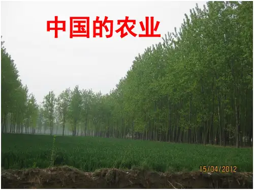 yong高二中国地理中国农业课件