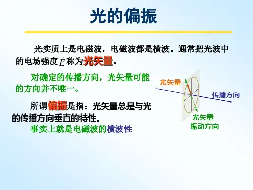 大学物理光的偏振
