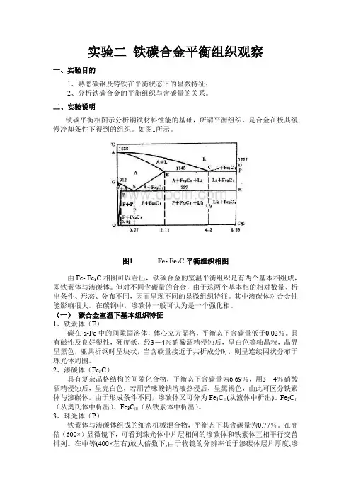 铁碳合金平衡组织观察
