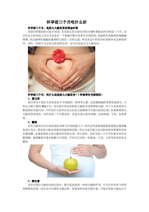 怀孕前三个月吃什么好 (2)