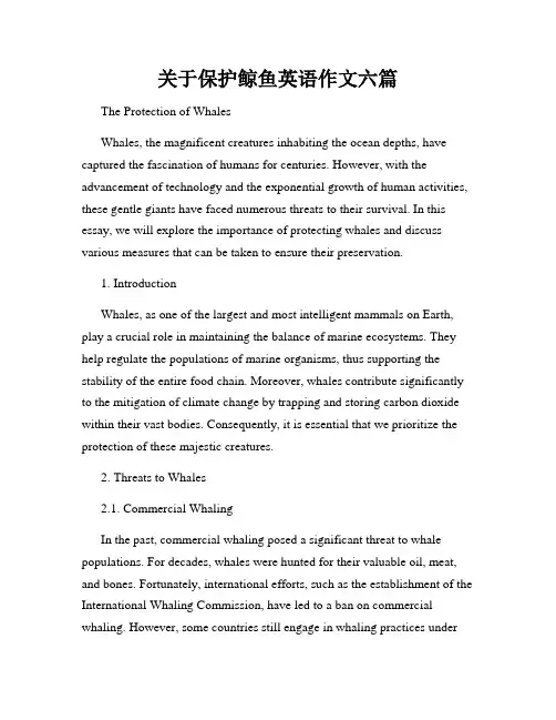关于保护鲸鱼英语作文六篇