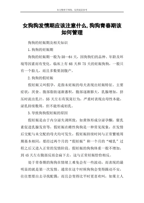 女狗狗发情期应该注意什么,狗狗青春期该如何管理