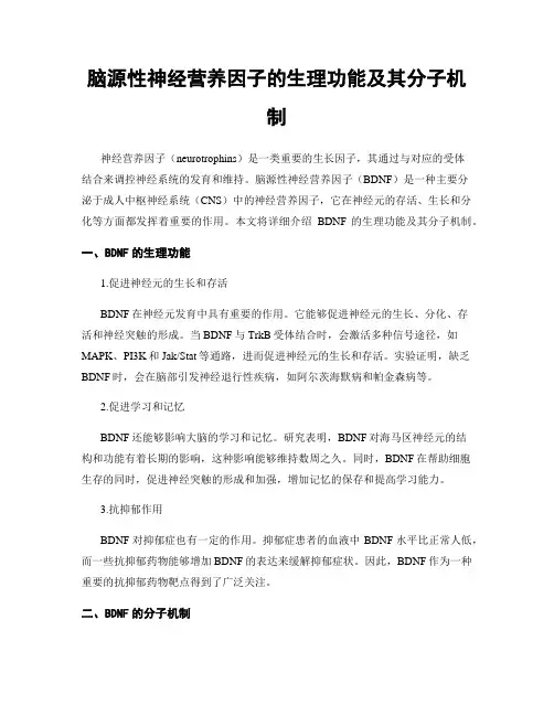 脑源性神经营养因子的生理功能及其分子机制