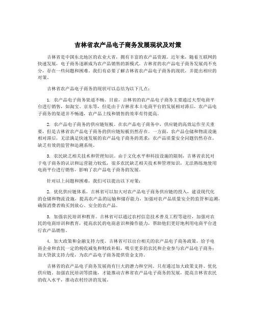 吉林省农产品电子商务发展现状及对策