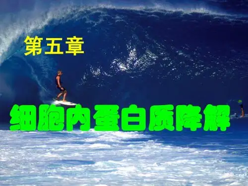 第五章 细胞内蛋白