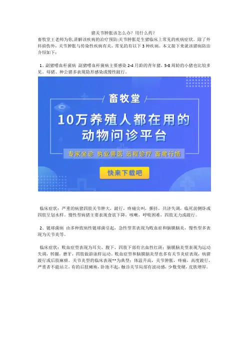 猪关节肿胀该怎么办？用什么药？