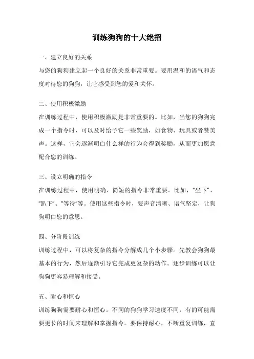 训练狗狗的十大绝招