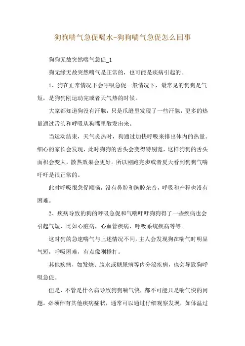 狗狗喘气急促喝水-狗狗喘气急促怎么回事