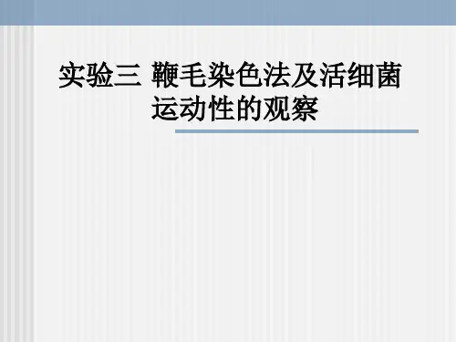 实验三__鞭毛染色法及活细菌运动性的观察