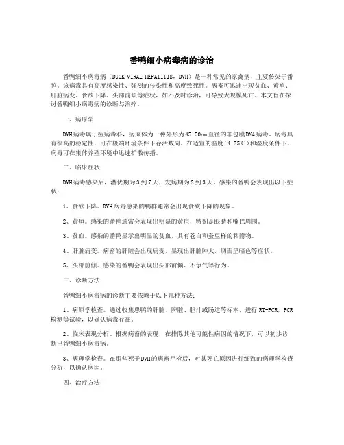 番鸭细小病毒病的诊治